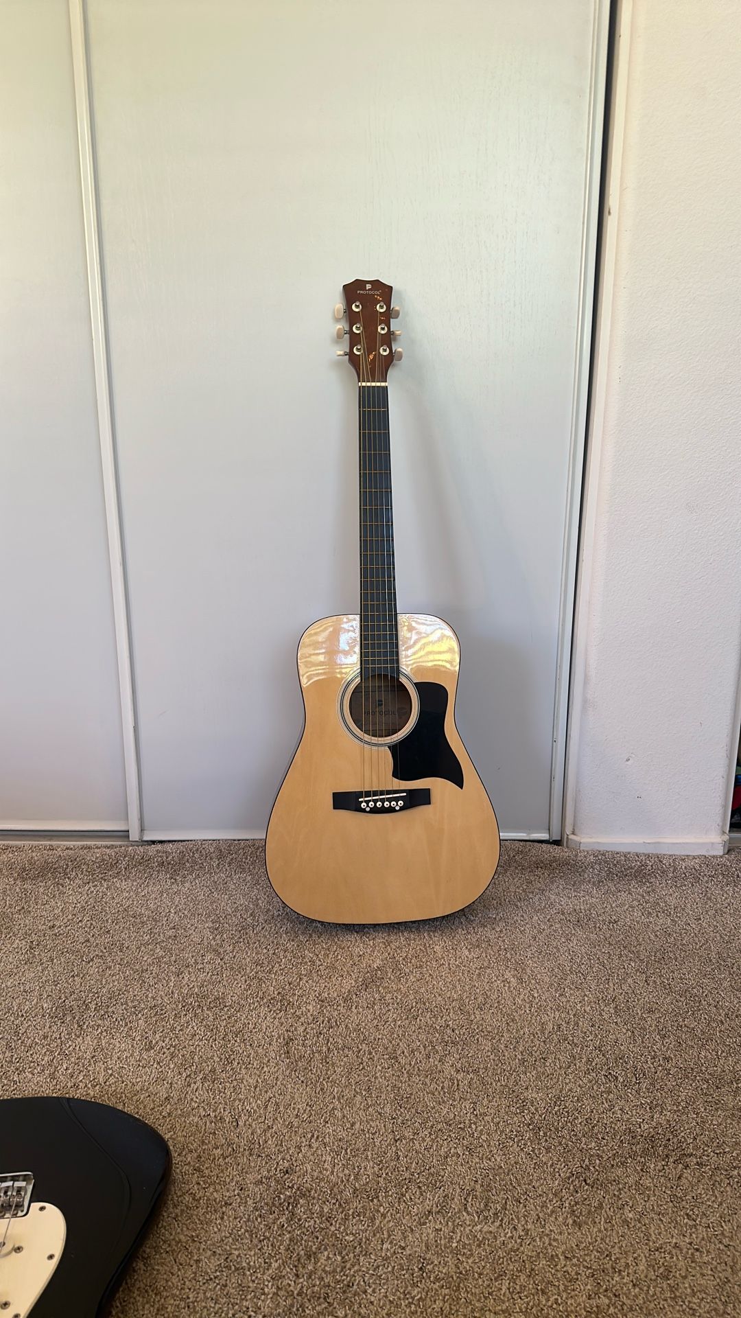 Acoustic Guitar