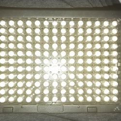 Neewe photo/video light