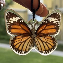 Natural Butterfly 🦋 