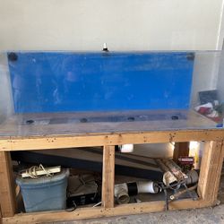 150 And 180 Gallons Acrylic And Glass Tanks Available. 