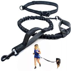 Dog Leash