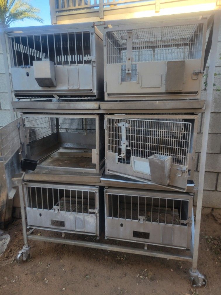 Jaula Para Gallinas O Conejos De Acero Inoxidable