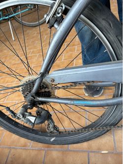 Free cruiser Bicycle