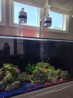 AQUARIUM AQUA +XDY-120 FLAGSHIP EDITION WITH DUAL WATER LEVEL