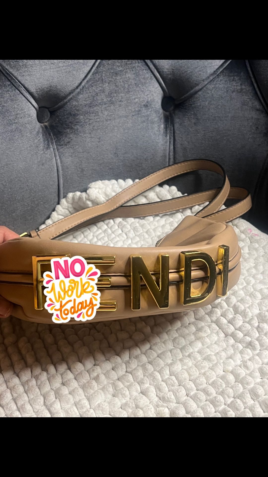 Beautiful Used Purse