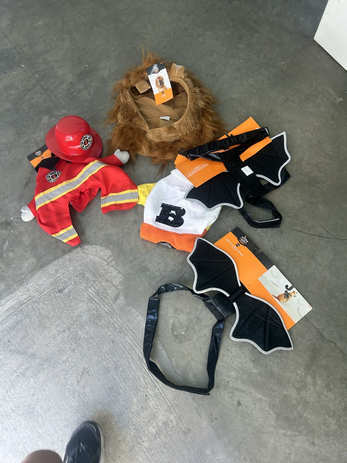 5 costumes pets large