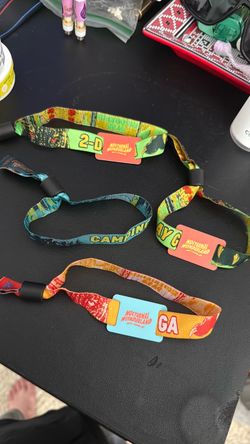 Nocturnal Wonderland