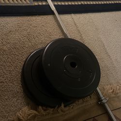 Barbell With 2 Plates 