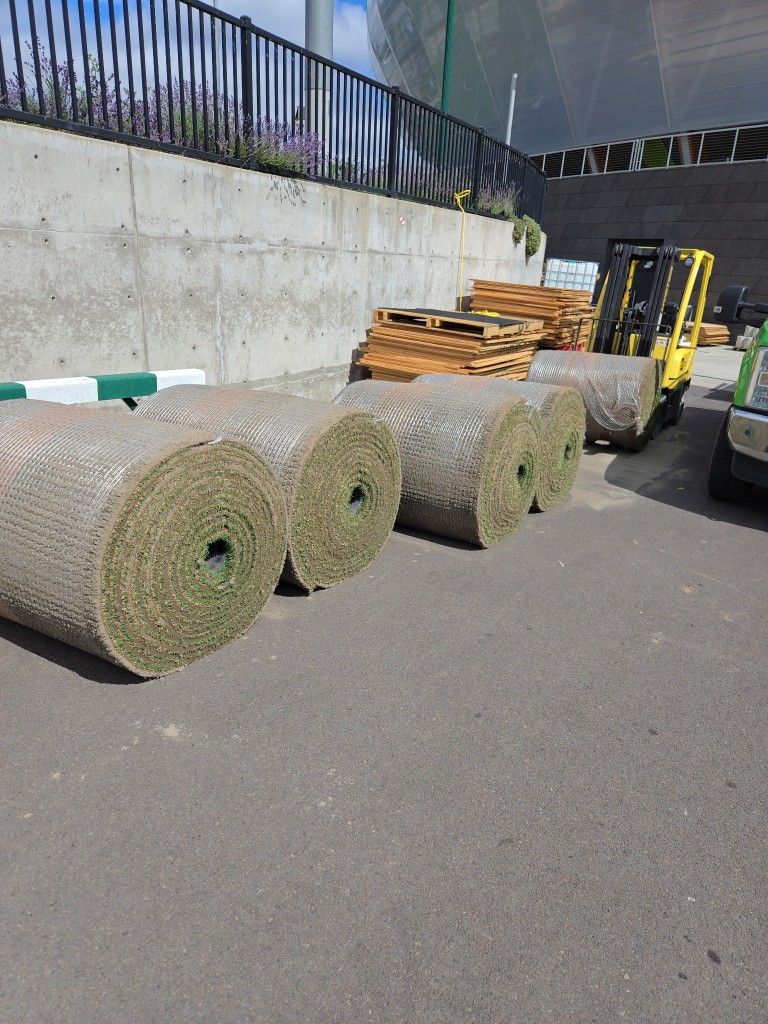 5- 4 Ft By 60 Ft Sod Rolls Sand-based Triple Rye Grass