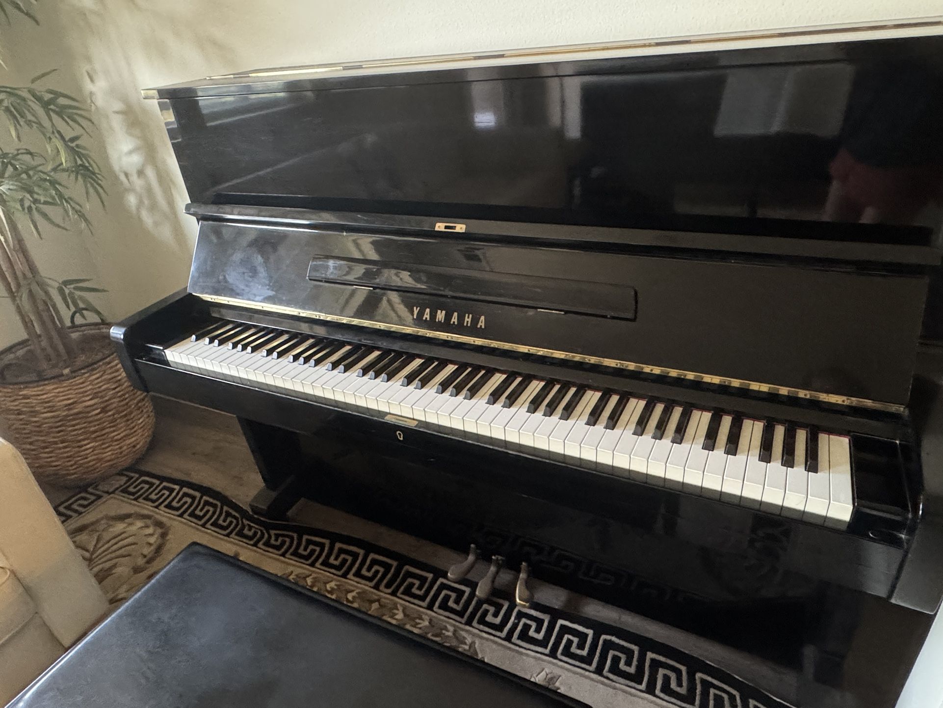 Yamaha U-1 48” Upright Piano With Matching Bench