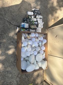 Light bulbs