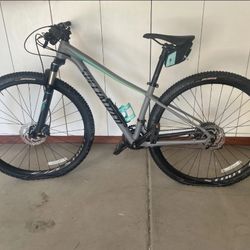Specialized 