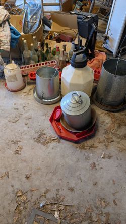 chicken feeders and water