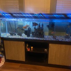120g Fish Tank For Sale!!
