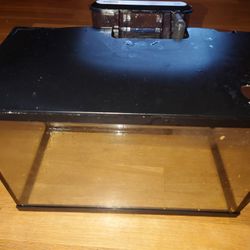 Excellent Kitchen Counter Fish Tank While Cooking