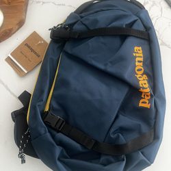 Patagonia Backpack