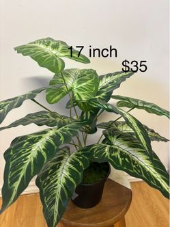 Artificial plant ( brand new )