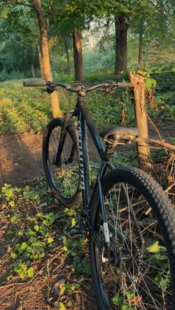 Specialized rockhopper, large frame, 29 inch wheels, black