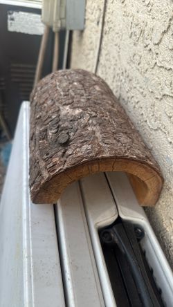 Reptile Log