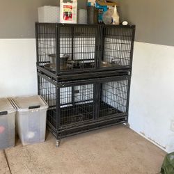 Puppy Kennels / Cages