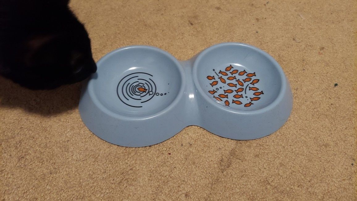 Cat Or Pet Bowls