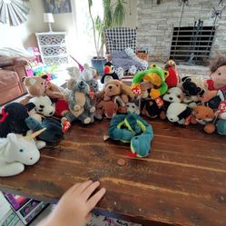 Beanie babys collection