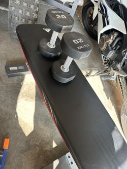 2 20 Pound Dumbbells And Adidas Flat Bench