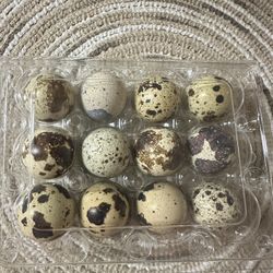 Quail Eggs 