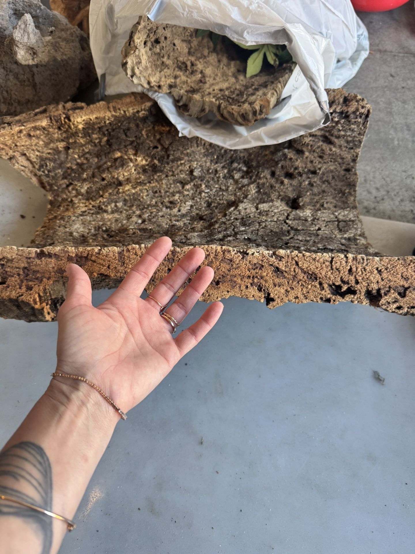 Large Cork Pieces For Terrariums