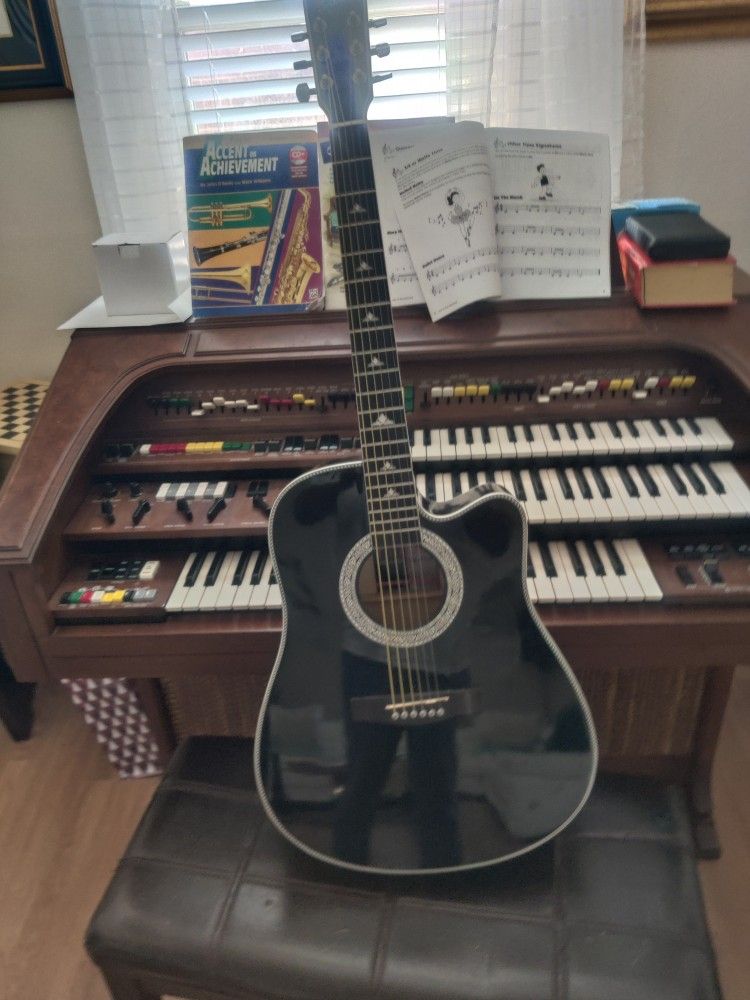 Esteban Electric Acoustic Guitar