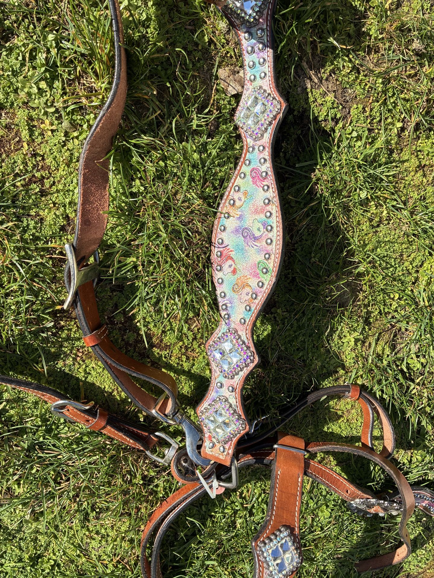 Bridle/Breast Collar Set