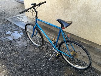 Used Bicycle