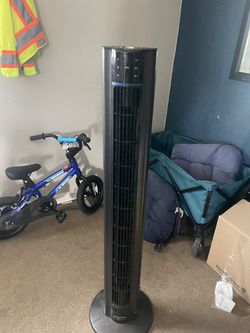 Tall Fan - Used 