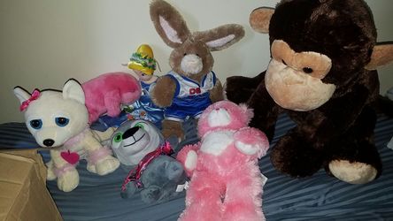 Different type of teddy bears