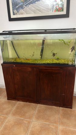 Fish tank with base and fish included
