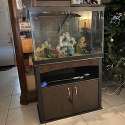 I Pick Up Free Fish Tanks And Fish For Free