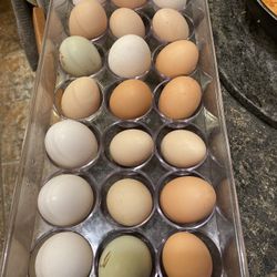 Organic Eggs 