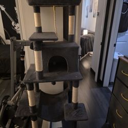 Kitty Condo In A Very Good Condition