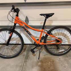Giant Kids Bike