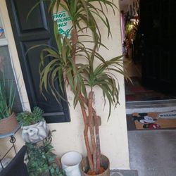 6.5ft Beautiful Artificial Tree Plant 18 Firm Look My Post Tons Items Low Prices