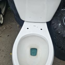 Aqua Toilet Bowl 