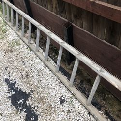 11ft Ladder