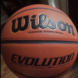 Wilson Evolution (Size 7) Official Game Basketball - 29.5"