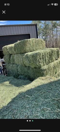 ALFALFA FRESH 100%