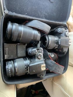 Canon T7 and XTI  with 55mm lens  and 250mm lens