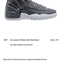 Jordan 12 Dark Grey 
