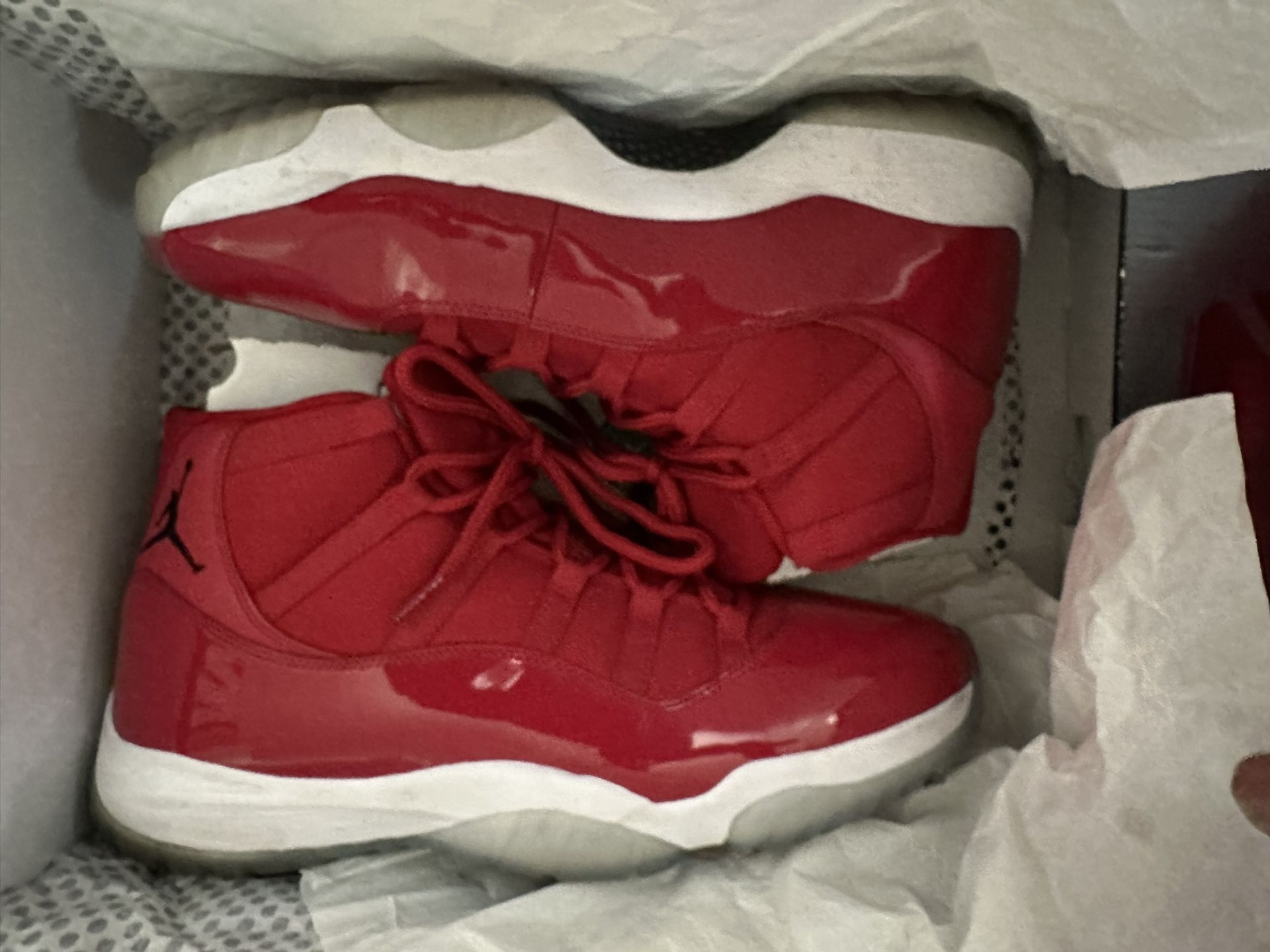 Jordan Retro 11s Sz 15