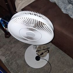Fans For Sale 