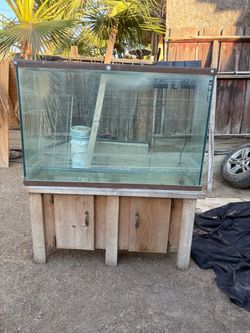 Fish tank