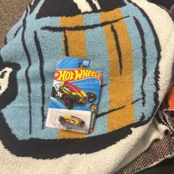 Hotwheels Treasure Hunt 